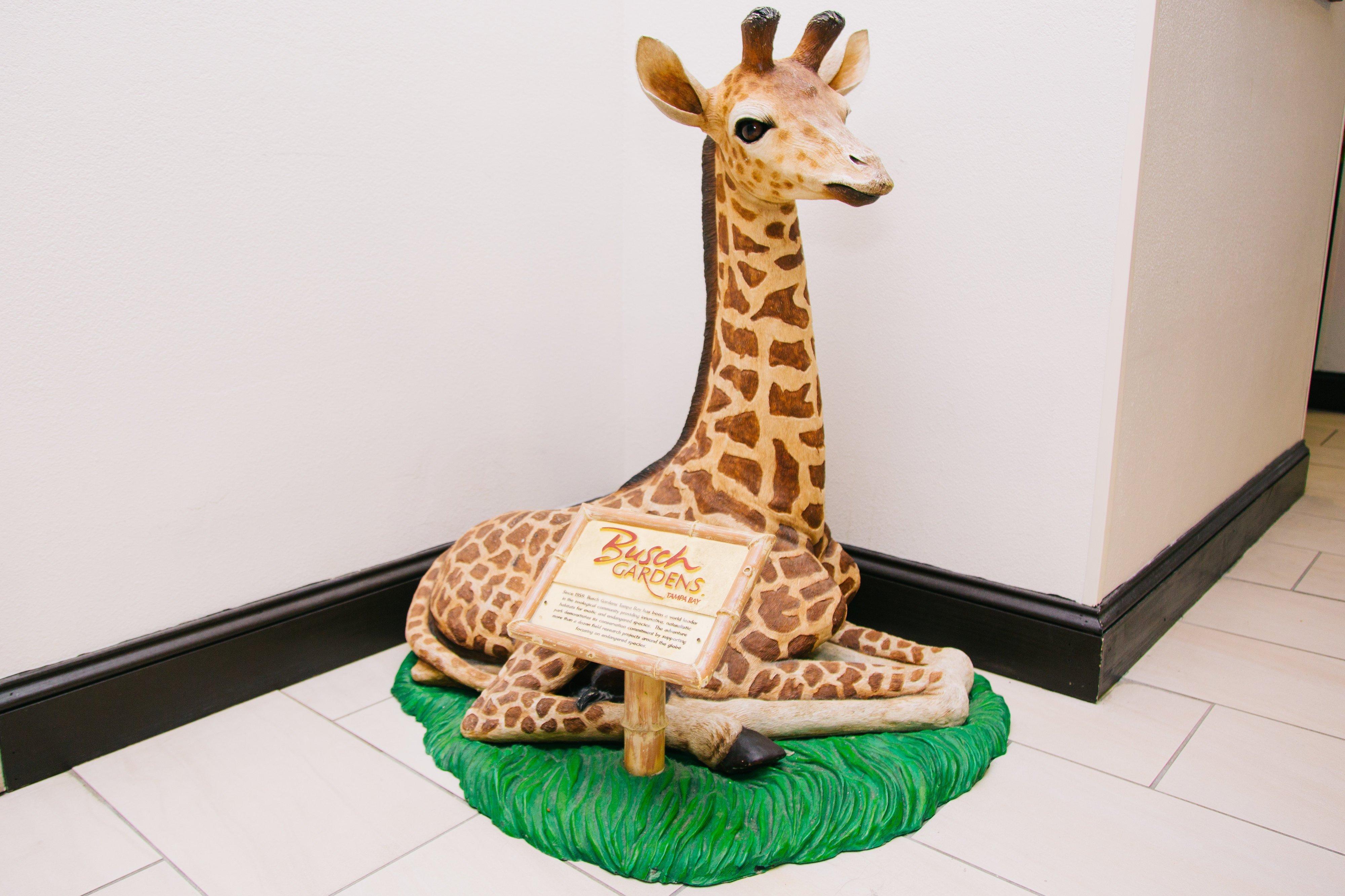 Holiday Inn Express Hotel & Suites Tampa-Usf-Busch Gardens By Ihg Zewnętrze zdjęcie