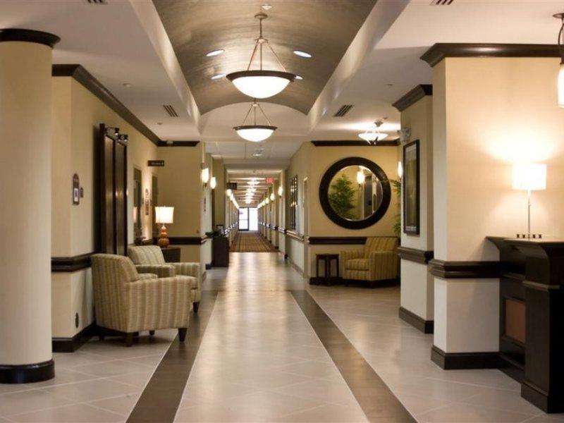 Holiday Inn Express Hotel & Suites Tampa-Usf-Busch Gardens By Ihg Zewnętrze zdjęcie