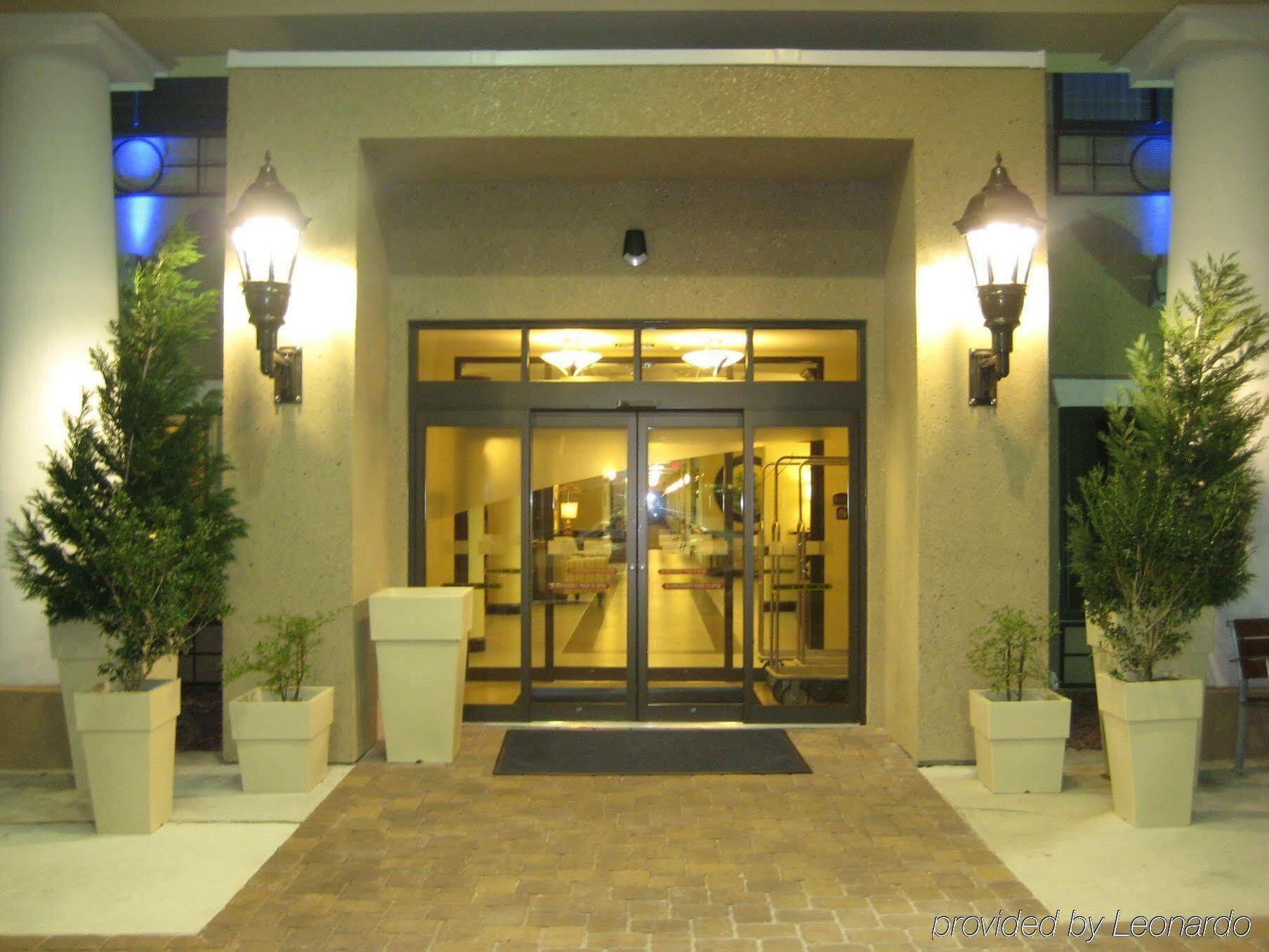 Holiday Inn Express Hotel & Suites Tampa-Usf-Busch Gardens By Ihg Zewnętrze zdjęcie